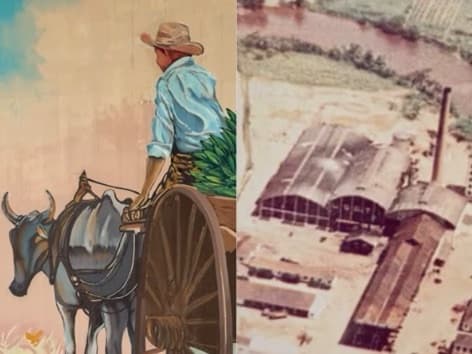 A USATI e o carro de boi: dois tempos da economia rural de Tijucas