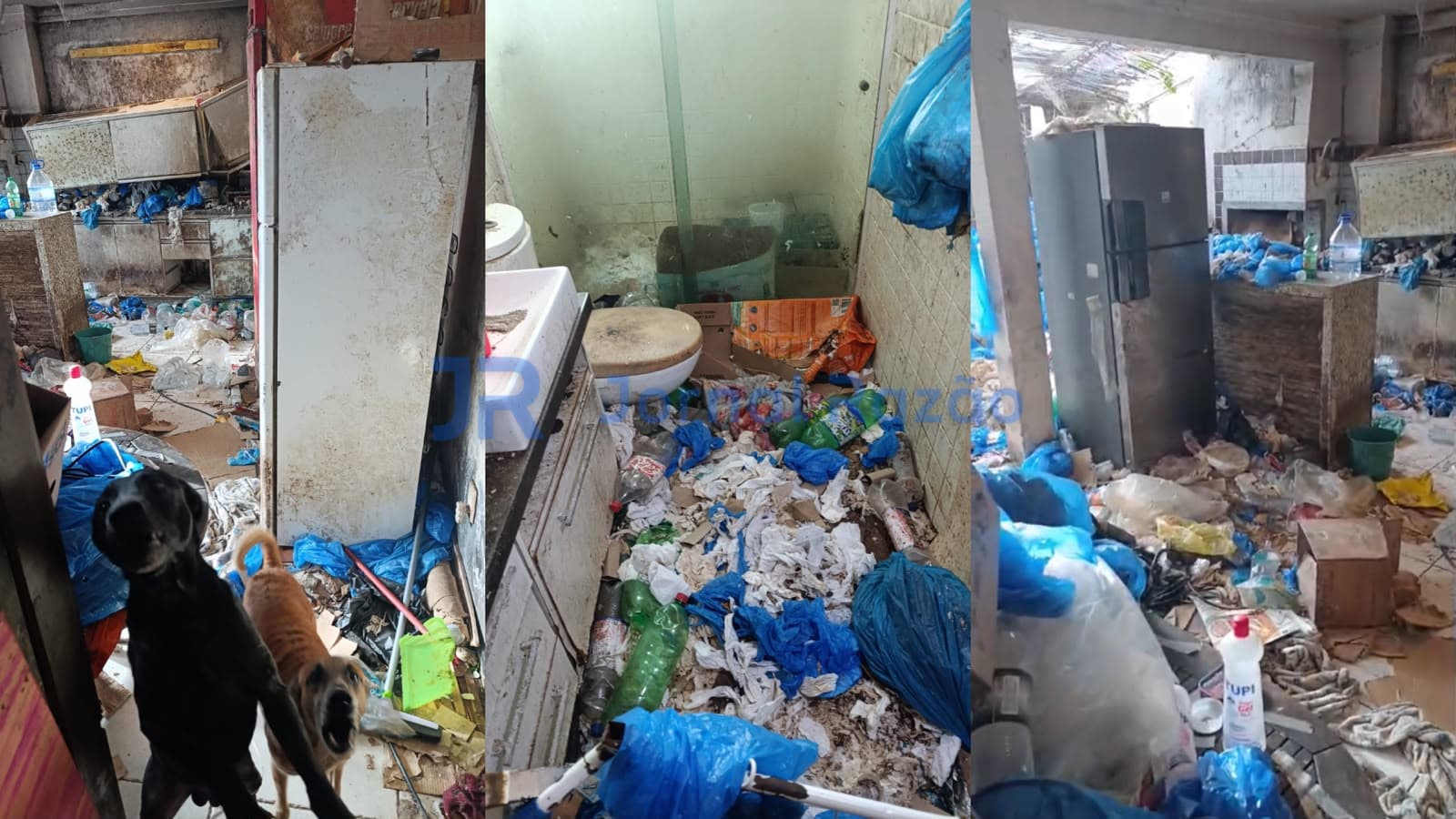 Casa do horror em Bombinhas: idosos e cães são encontrados em meio a montanhas de lixo