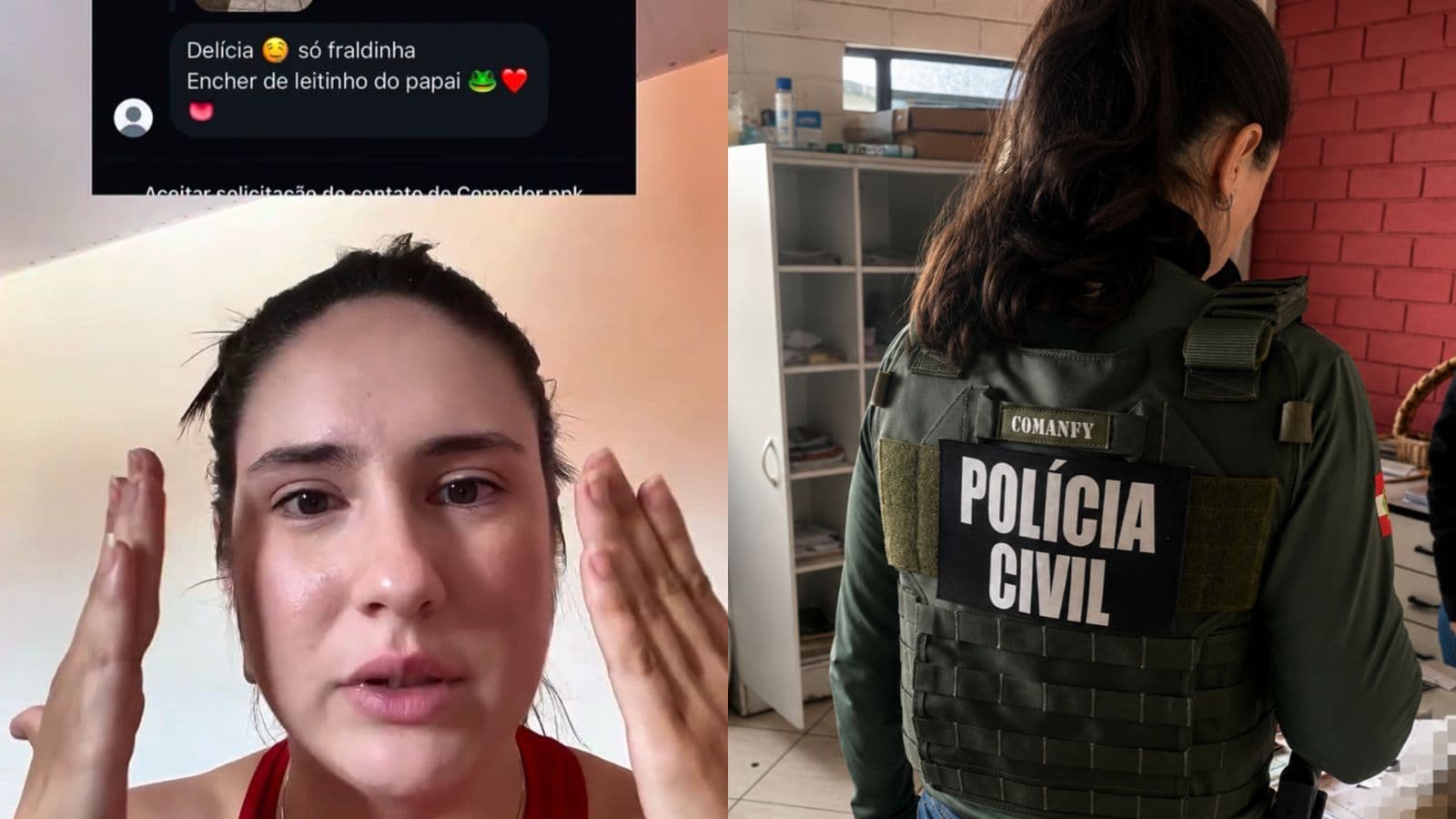 Gaeco deflagra operação em SC após perfil fake fazer comentários sexuais contra criança de 2 anos