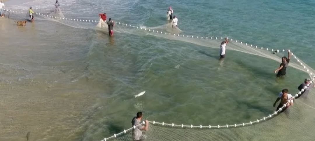 “Golpe contra o pescador”: SC reage e aciona a Justiça contra o Governo Lula após fim da safra da tainha