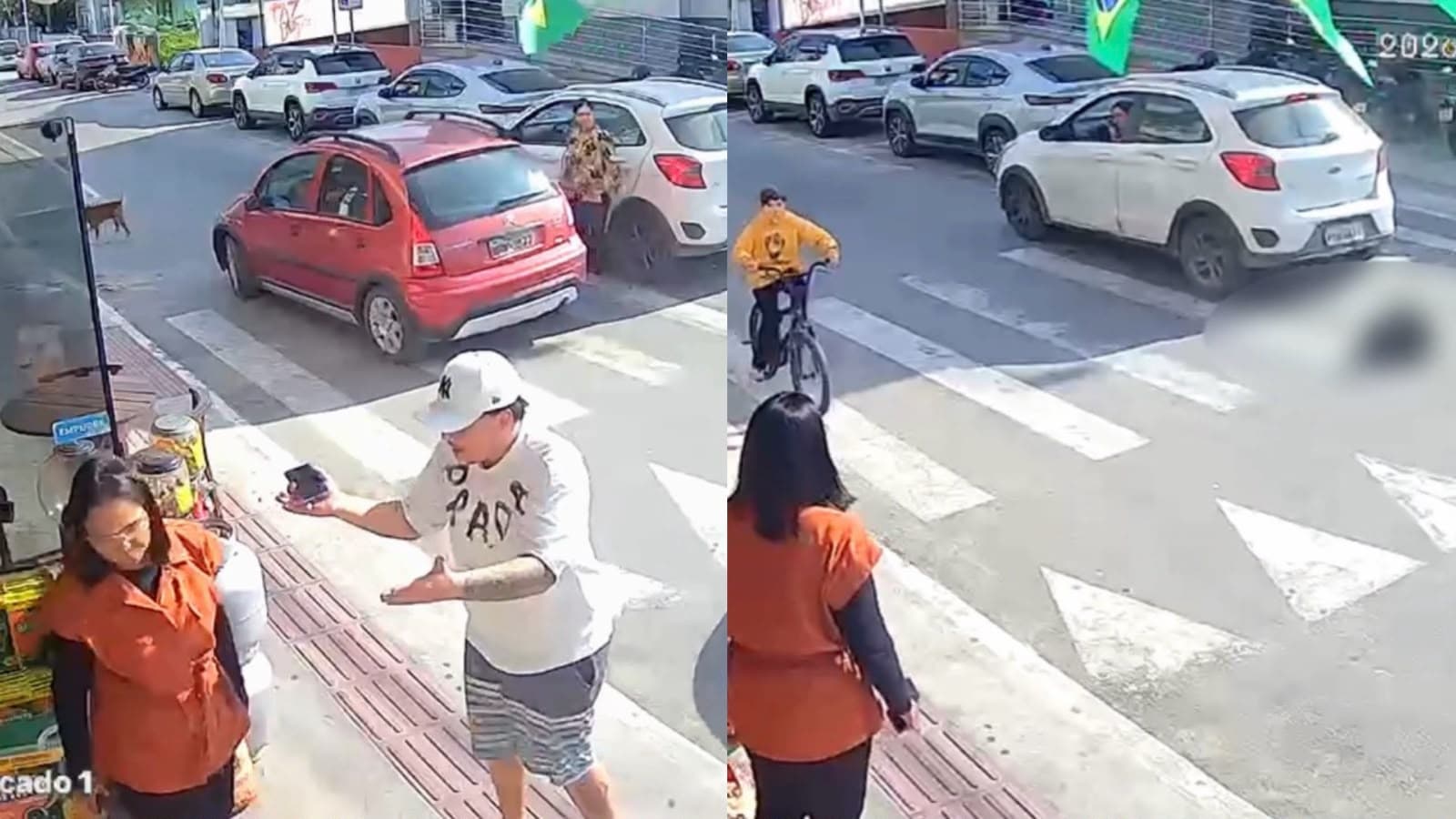 “Lugar de cachorro não é no meio da rua”: motorista atropela cão e caso vira bate-boca em Navegantes