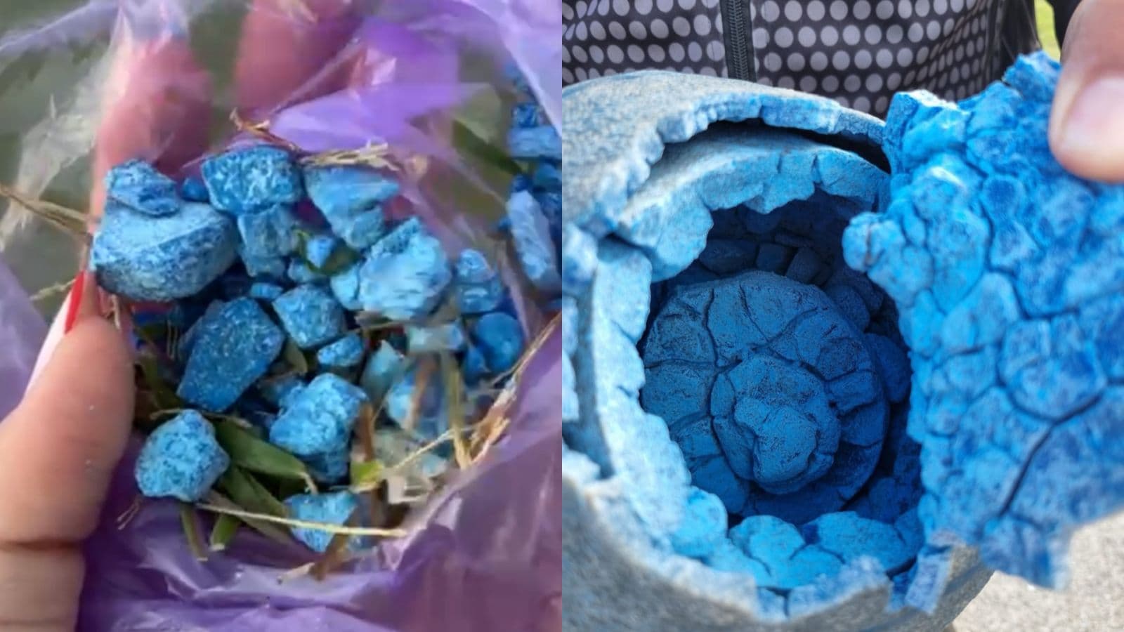 Pedrinhas viralizam como suposto “veneno de rato” em parque de SC, mas se tratava de fragmentos de bola