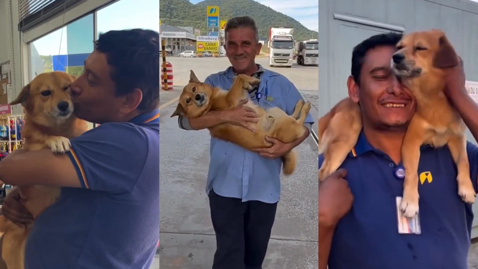 “O ambiente de trabalho é outro”: funcionário carrega cão de rua no colo e posto da BR-101 em Balneário Camboriú emociona SC