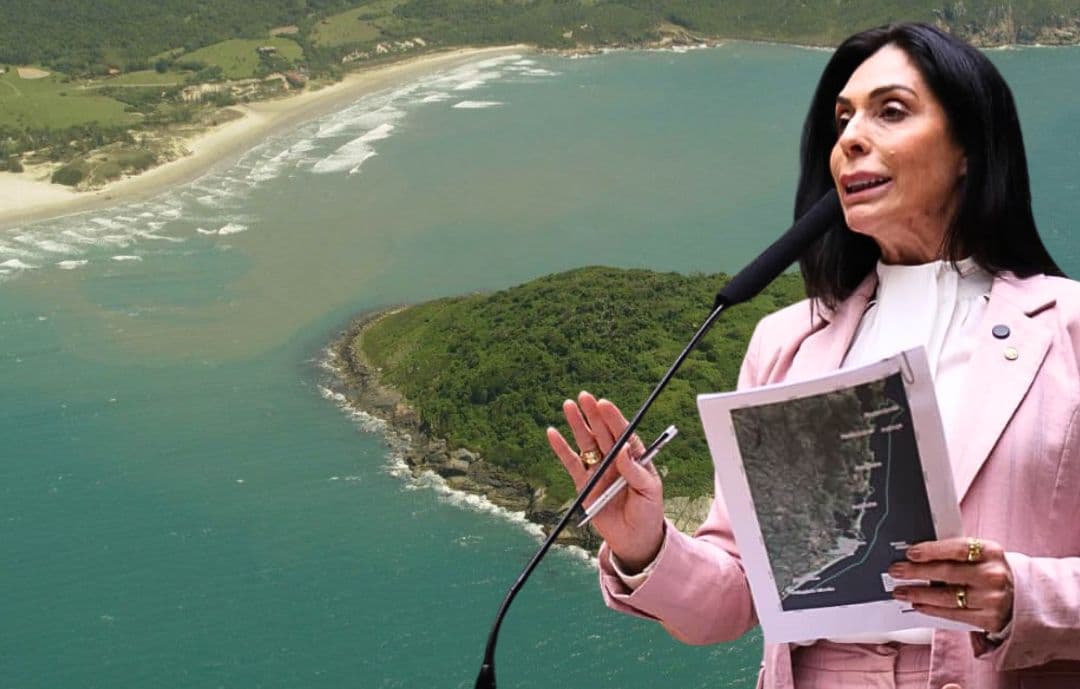 APA da Baleia Franca: Câmara aprova urgência de PL que beneficia milhares de famílias em SC