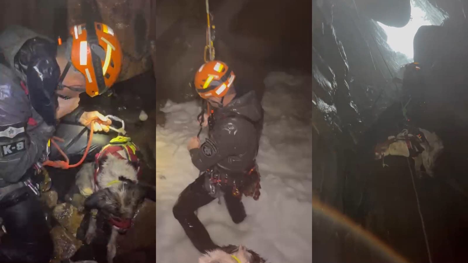“Ninguém fica pra trás”: debilitado no fundo de uma caverna com o mar subindo, cão é salvo em resgate técnico na Grande Florianópolis