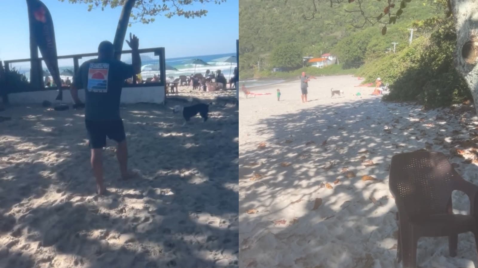 Presença de Pitbull em praia de Florianópolis causa discussão entre tutores e PM precisa ser acionada