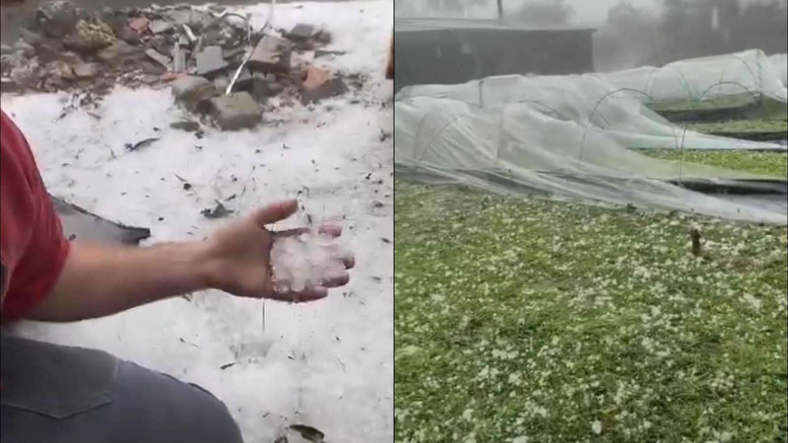 Granizo cobre o chão em cidade de SC e temporal derruba árvores no Alto Vale do Itajaí