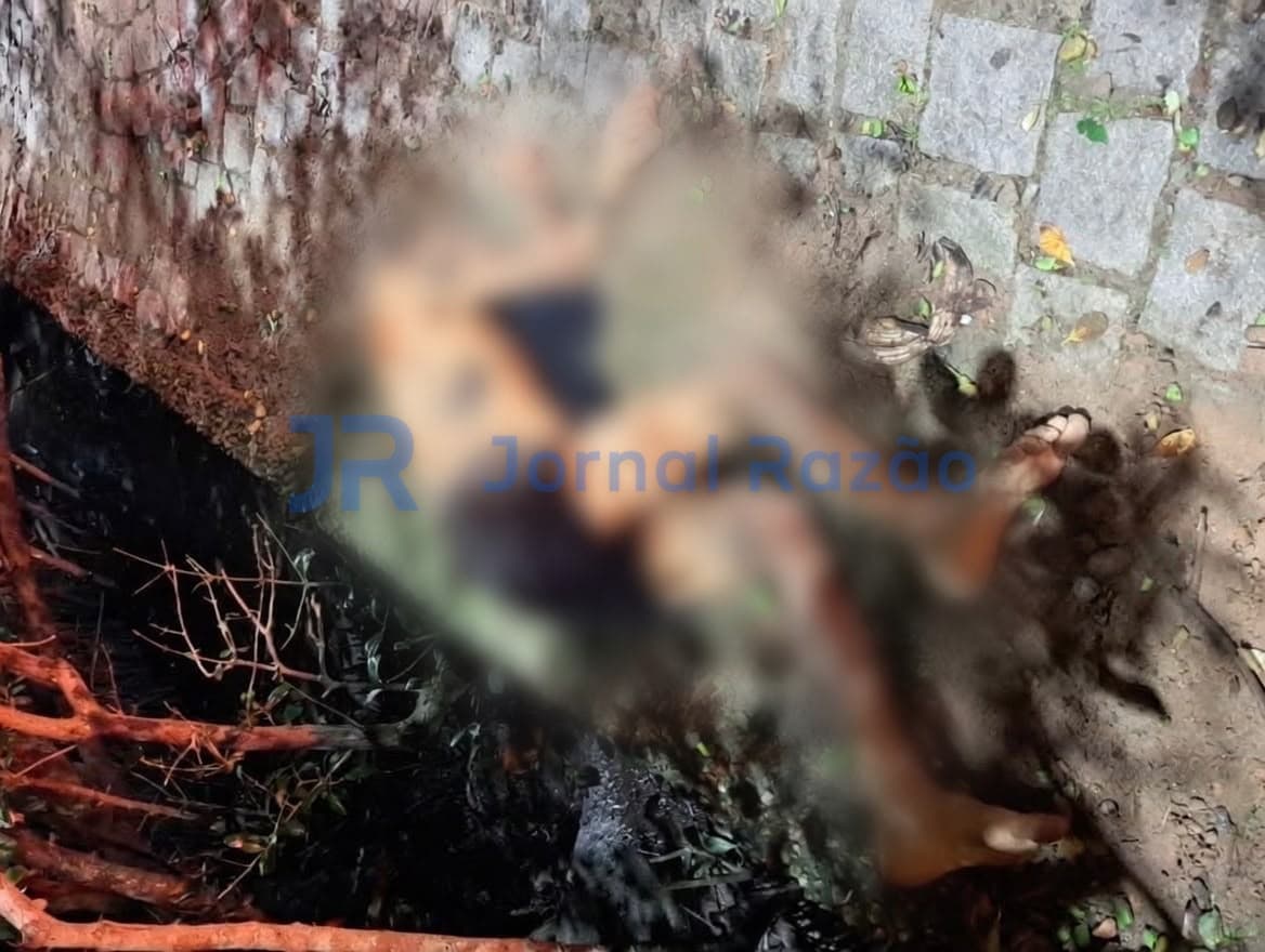 Testemunha ouve gritos e encontra homem sendo assassinado no mangue em Balneário Camboriú