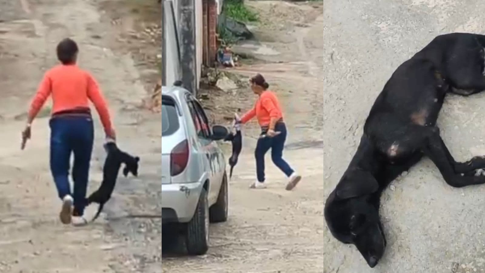 Vídeo choca moradores de Brusque: mulher é flagrada maltratando cadela e jogando o animal na rua