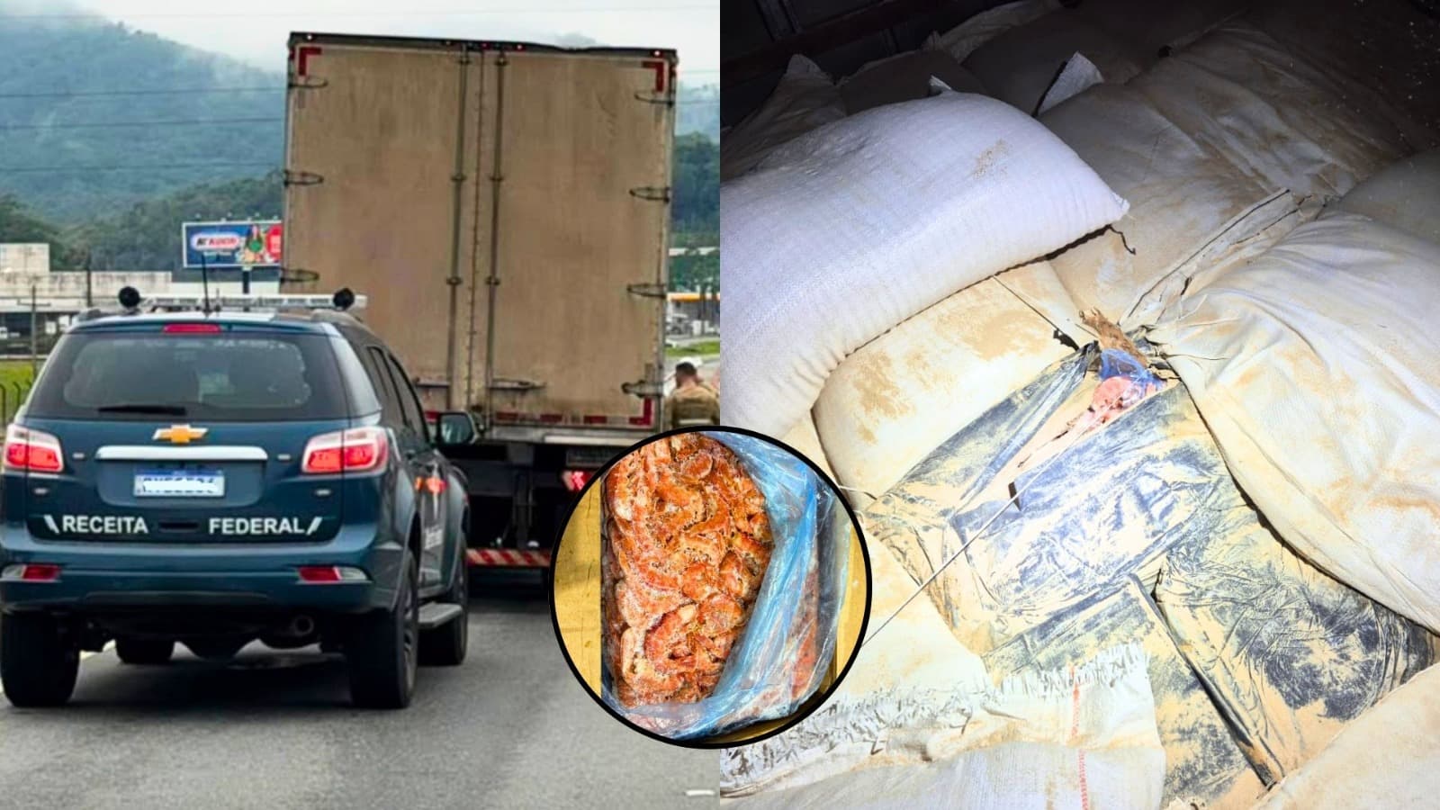 Piratas do crustáceo: Receita Federal e PMRv “melam o molho” de carga clandestina de camarão em SC
