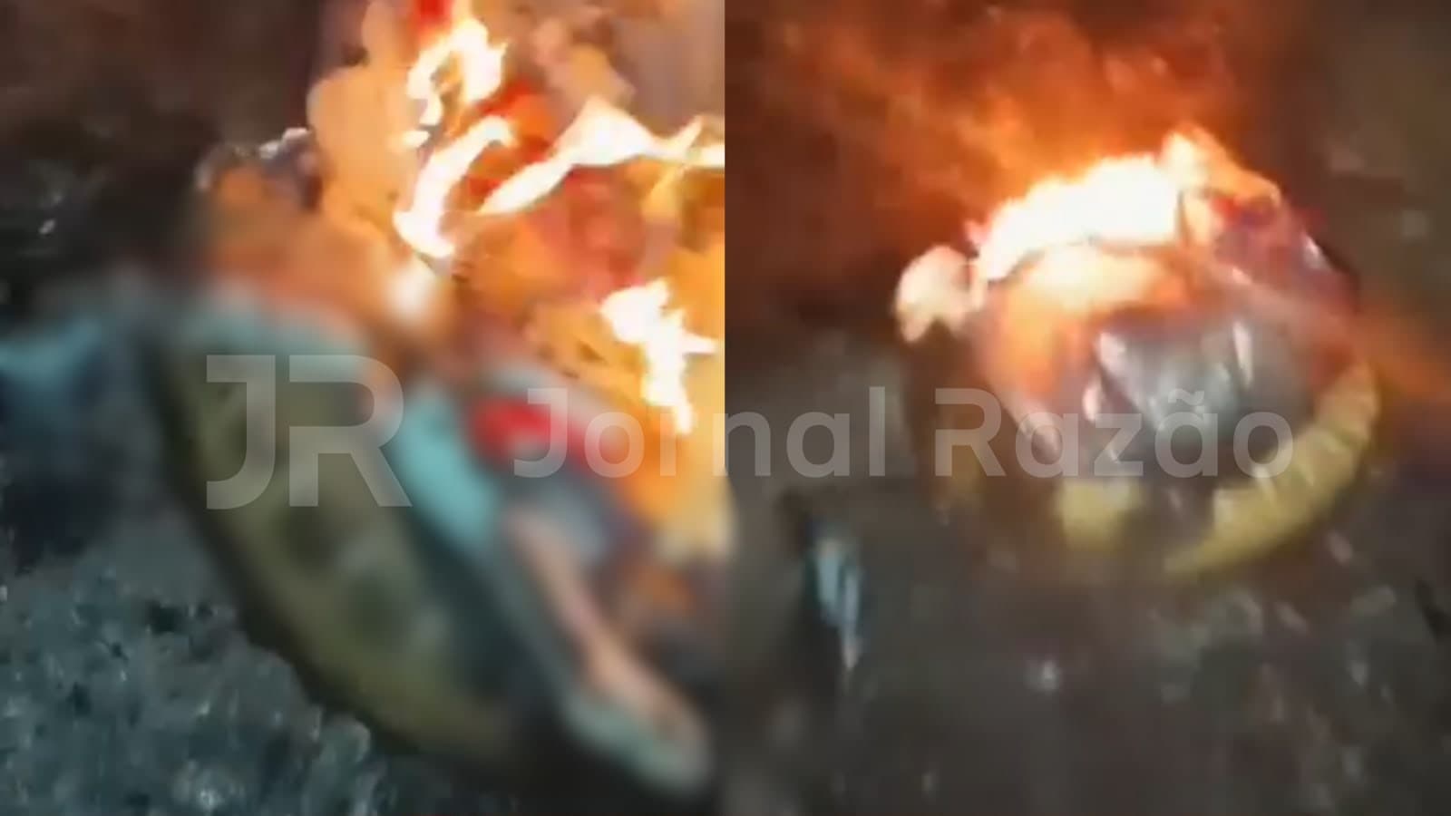 VÍDEO: jovens ateiam fogo em gato, filmam debochando e postam nas redes sociais em SC