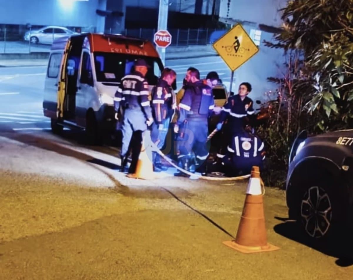 Briga por osso dado a cachorro termina em homicídio e prisão em cima de árvore em Blumenau