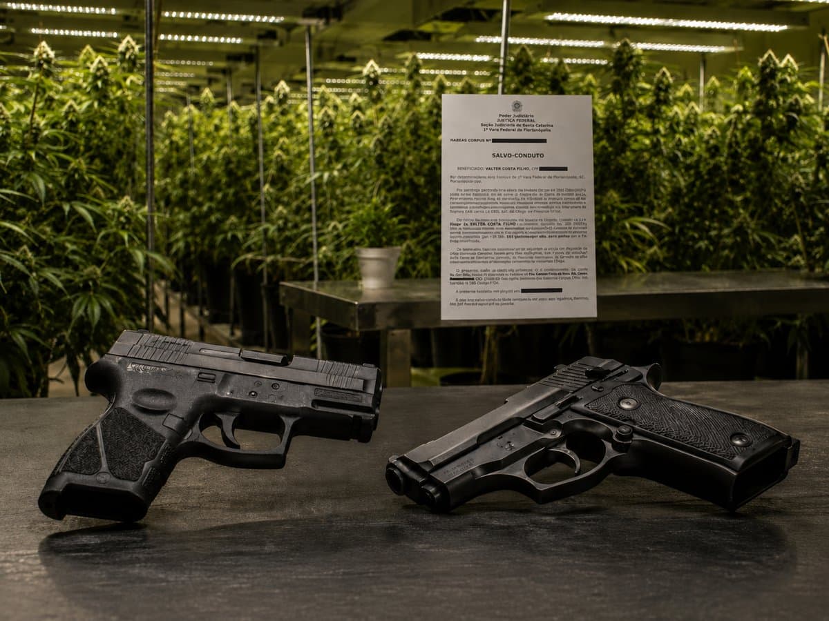 Executado em SC, “dono do Morro da Caixa” tinha armas legalizadas e salvo-conduto para plantar maconha