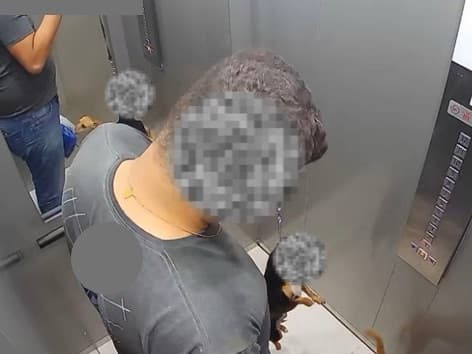 Vídeo mostra cadela erguida pela guia dentro de elevador e Polícia Civil abre inquérito em Blumenau