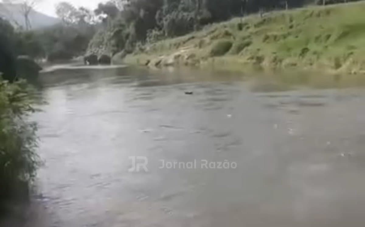 “To até arrepiado”: moradores soltam vela acesa em rio de SC para tentar achar Enzo, de 6 anos