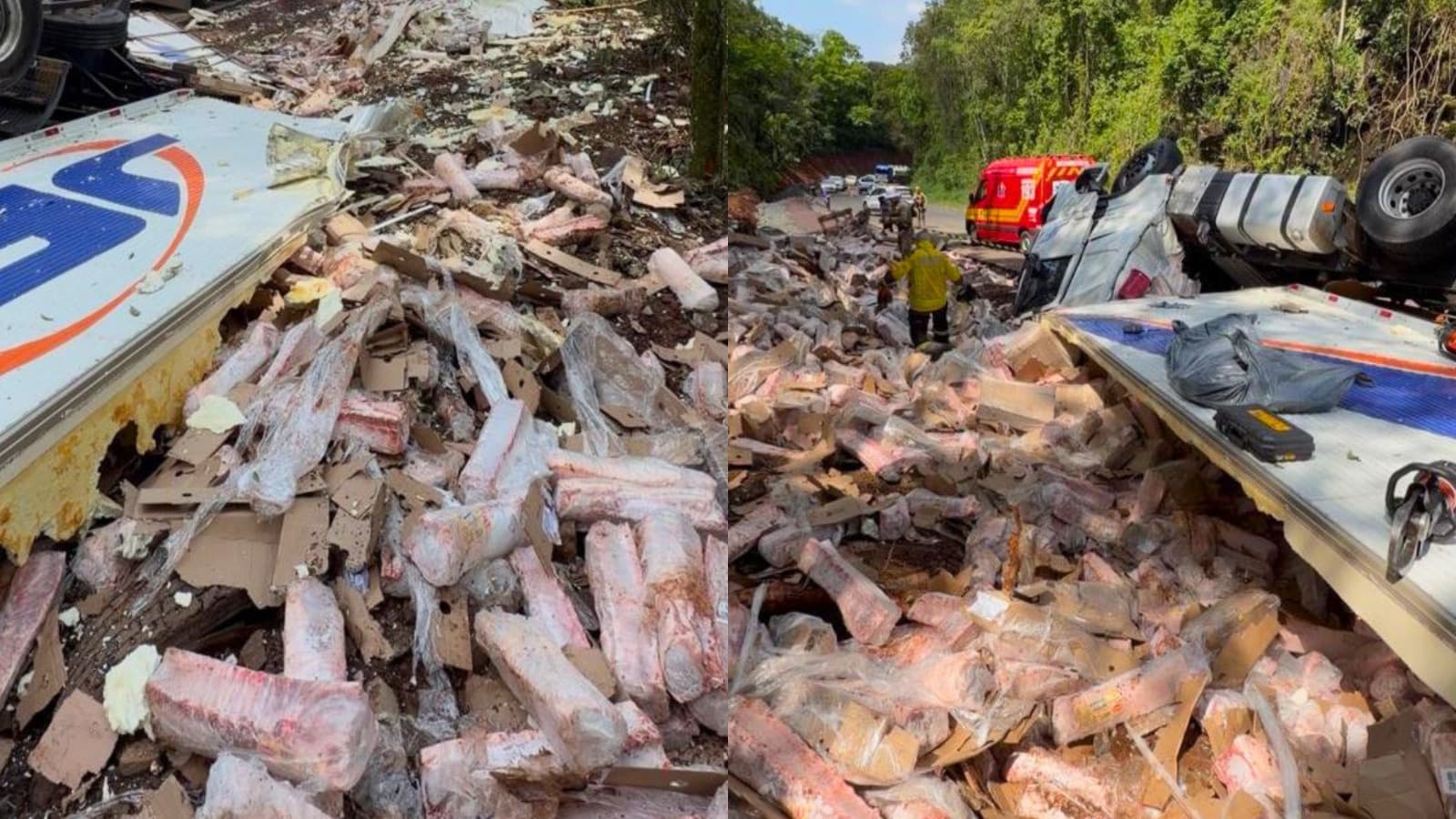 Família vê caminhoneiro morrer após capotamento e corpo é achado em meio à carga de suínos em SC