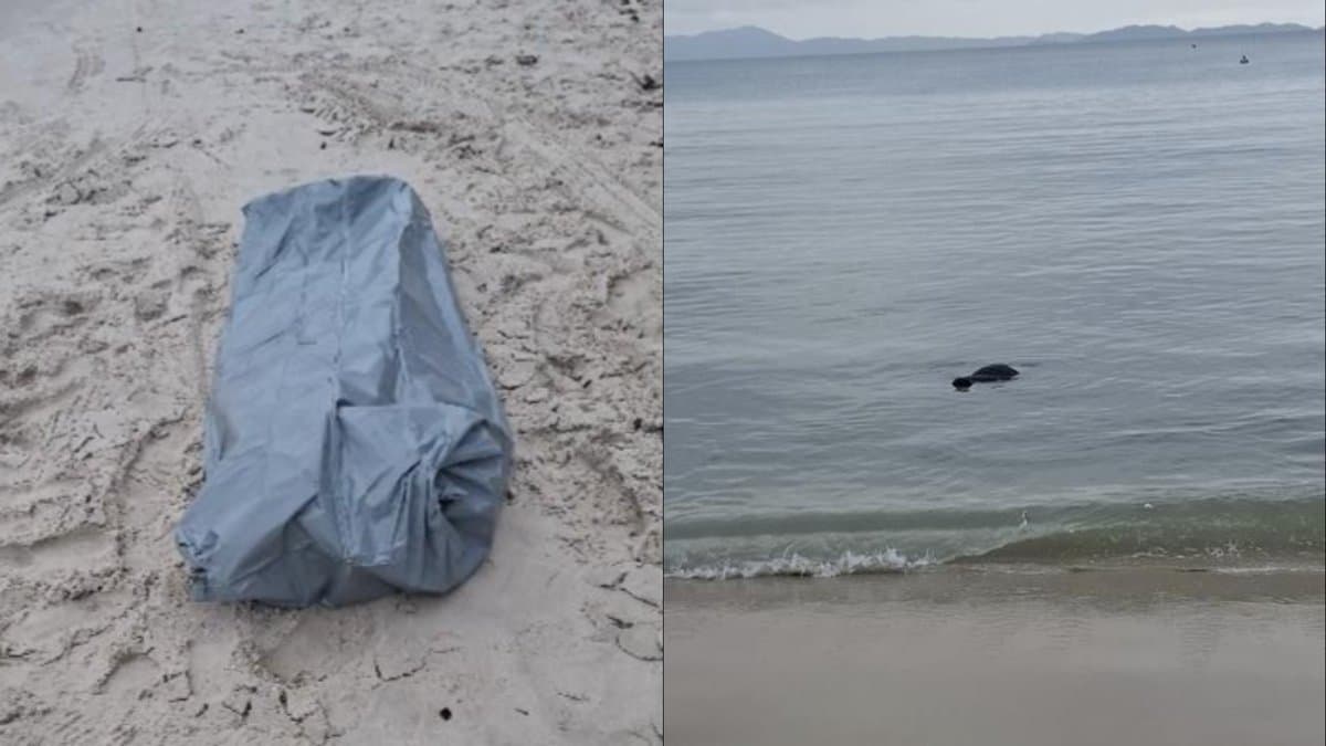 Corpo de homem é encontrado boiando ao lado do trapiche de Canasvieiras, em Florianópolis