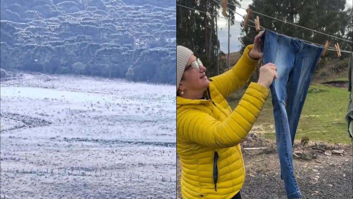 Frio histórico em SC: Serra Catarinense registra o 7 de Setembro mais gelado em 72 anos