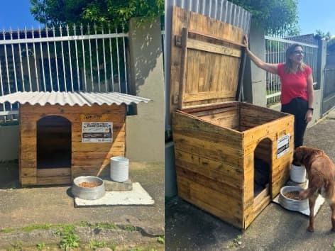 Presos da Penitenciária Industrial de Blumenau passam a construir casinhas para cães e gatos comunitários
