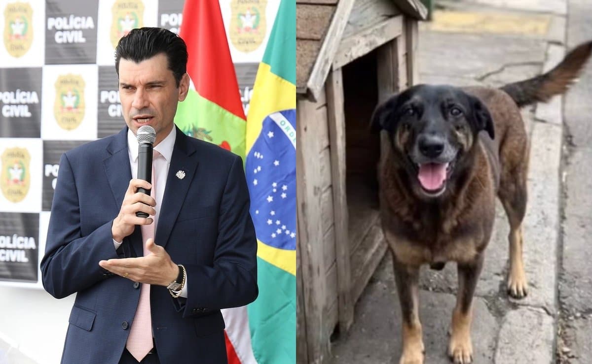 Caso Orelha: deputado eleito do PL Ulisses Gabriel se livra de ação de até R$ 795 mil por promoção pessoal