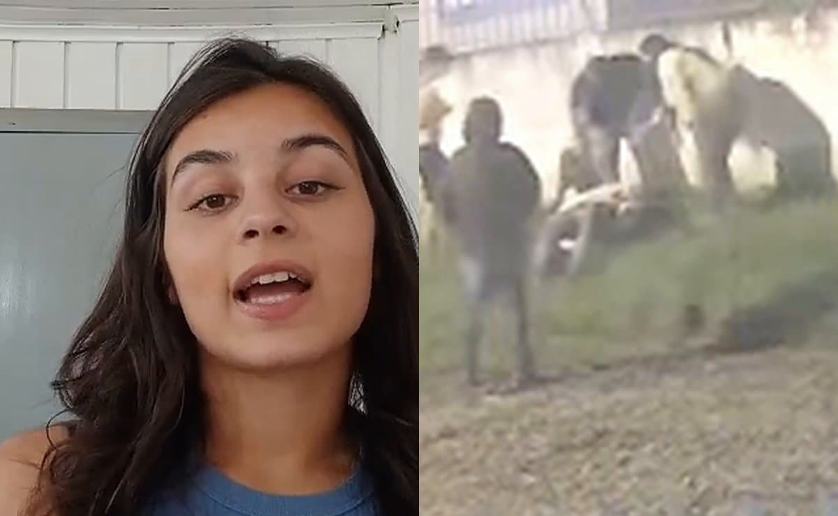 “Eu usei um mata-leão”: menina de 14 anos conta como imobilizou o ladrão que deu um soco na mãe em Lages