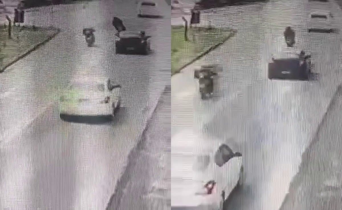 Levava amostras de sangue: motoboy fica em estado gravíssimo após batida entre motos em SC