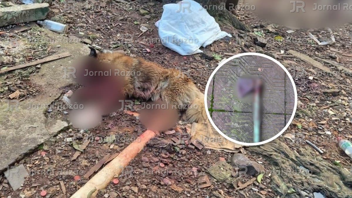 Imagens fortes: mulher mata cachorro a machadadas na frente de crianças e acaba presa em SC