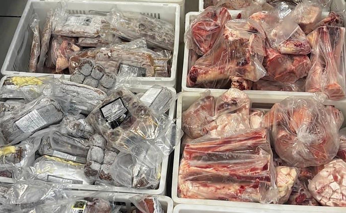 “É inadmissível e grave”: Procon recolhe 249 kg de carne vendida sem data de validade em Florianópolis