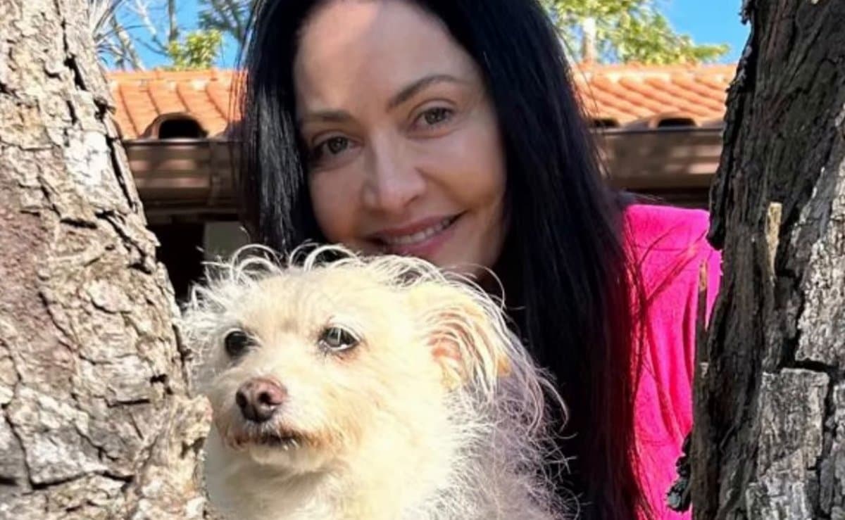 “Ele era uma luz pra mim”: promotora que defende animais em SC se despede do cão Bento