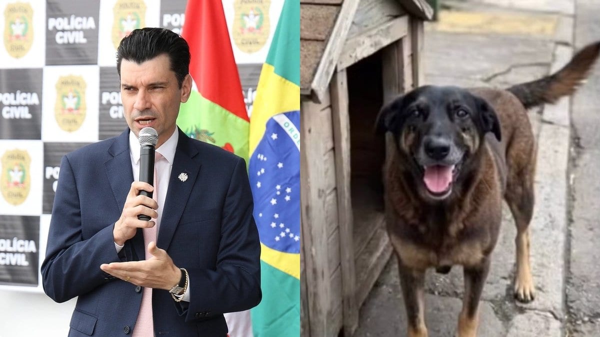 Caso Orelha: deputado eleito do PL Ulisses Gabriel se livra de ação de até R$ 795 mil por promoção pessoal