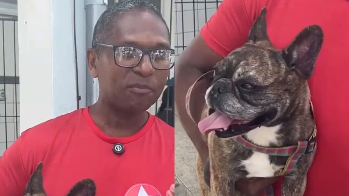 Eleitor de quatro patas: petista leva a cachorra para votar e quer ser deputado para os pets votarem