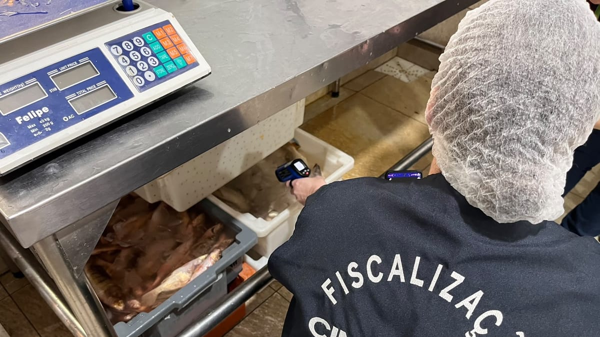 Dono de peixaria é preso durante operação que descarta mais de 10 toneladas de pescados