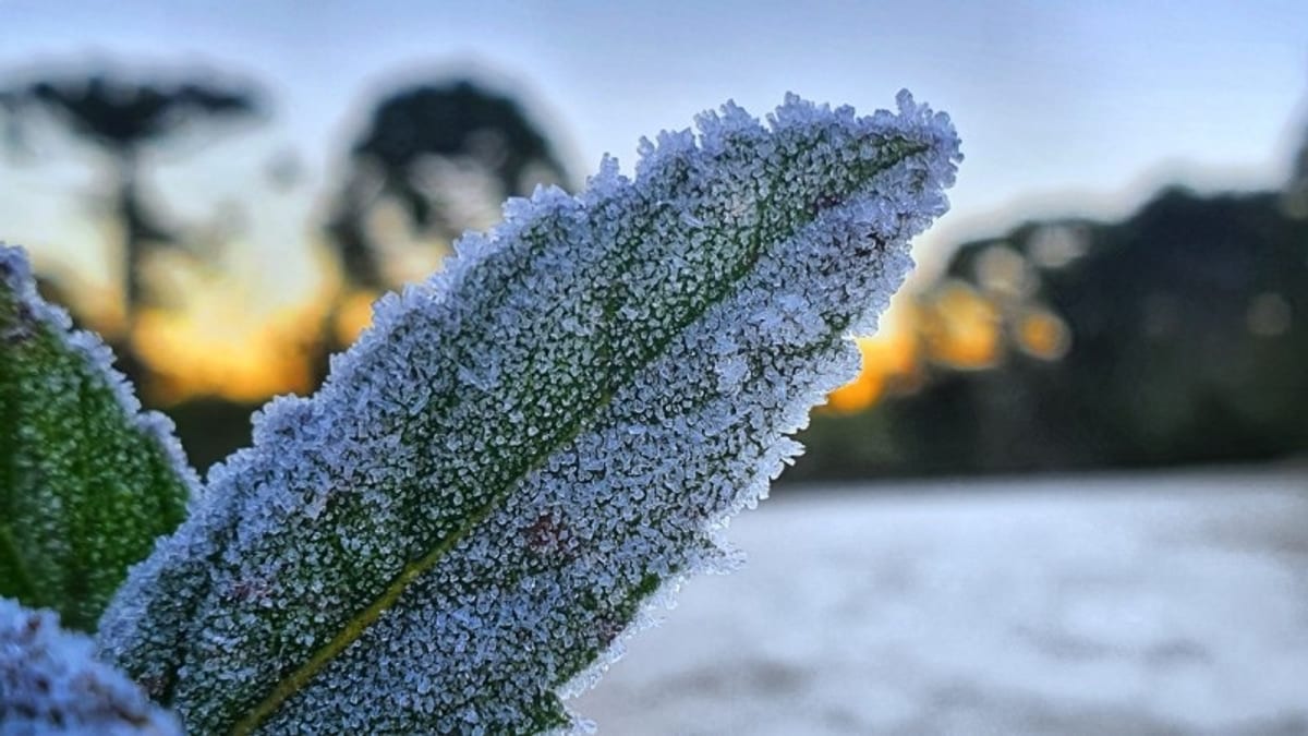 SC terá temperaturas abaixo de zero e chance de geada até segunda-feira