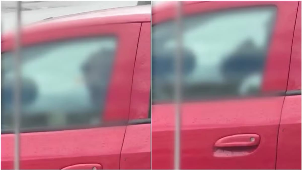 Padrasto filmado agredindo criança de 1 ano com celular é condenado por tortura em Palhoça; VEJA O VÍDEO
