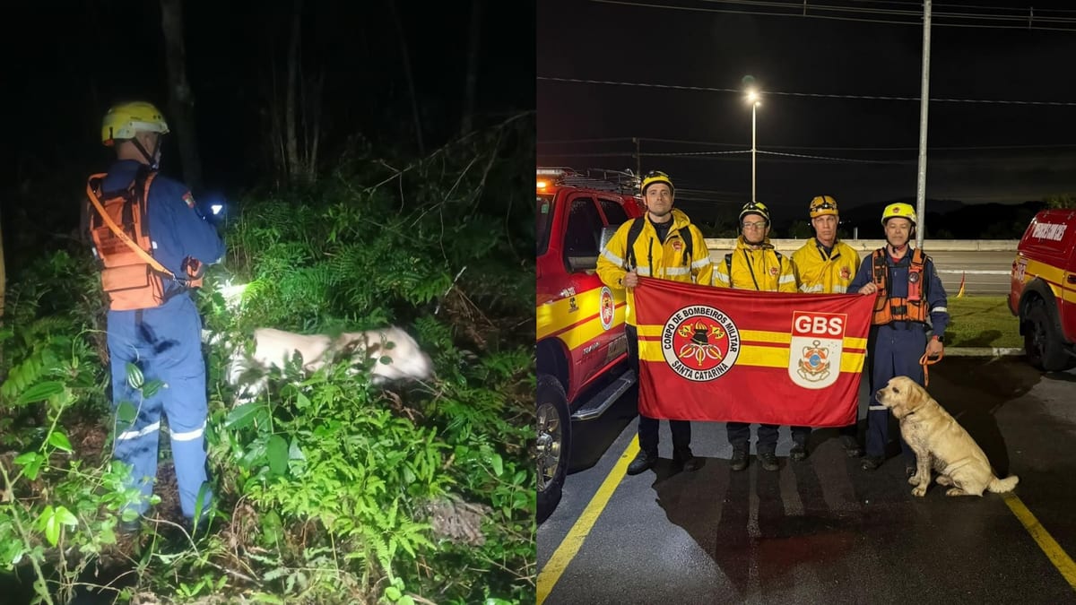 Homem de 51 anos desaparece em Florianópolis e bombeiros fazem buscas