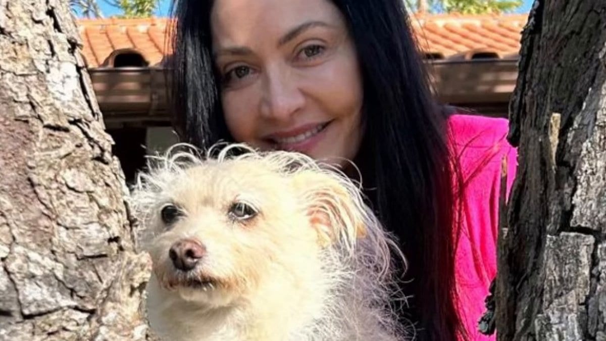 “Ele era uma luz pra mim”: promotora que defende animais em SC se despede do cão Bento