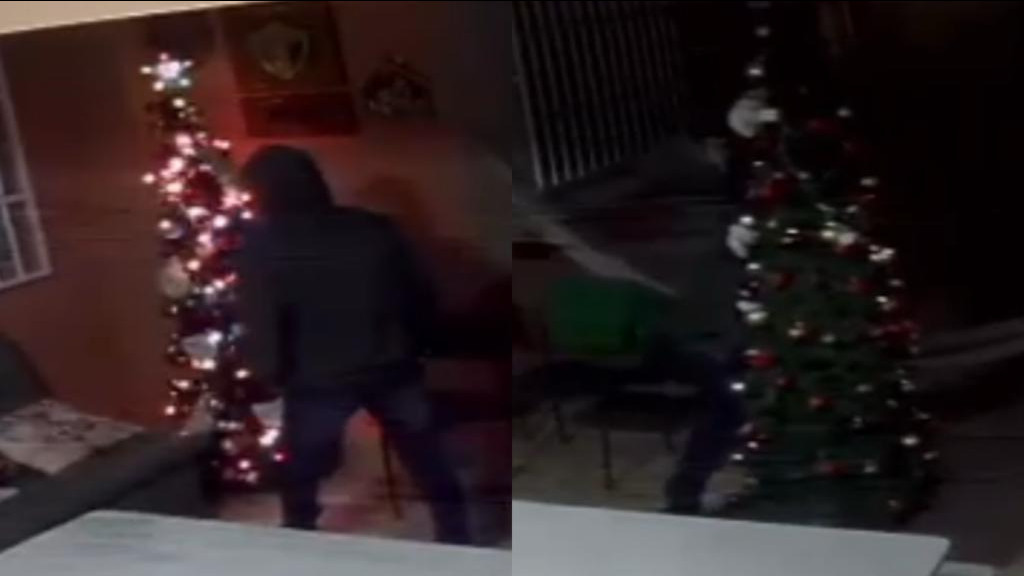 Ladrão invade residência e furta árvore de Natal enfeitada, em Itapema
