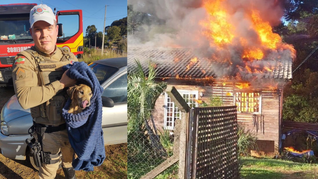 Polícia Militar Rodoviária resgata cachorro durante incêndio em residência