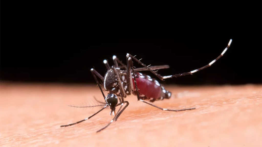 Mutirão contra a dengue reúne Itapema e mais 11 municípios da AMFRI