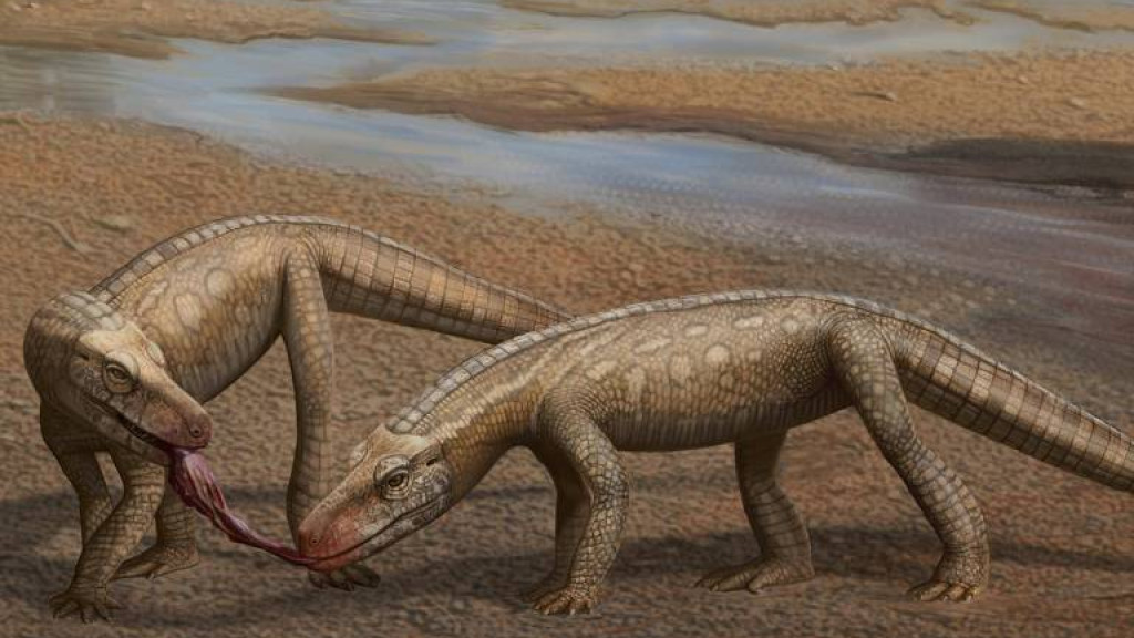 Fóssil de réptil de 237 milhões de anos é descoberto no Sul do Brasil