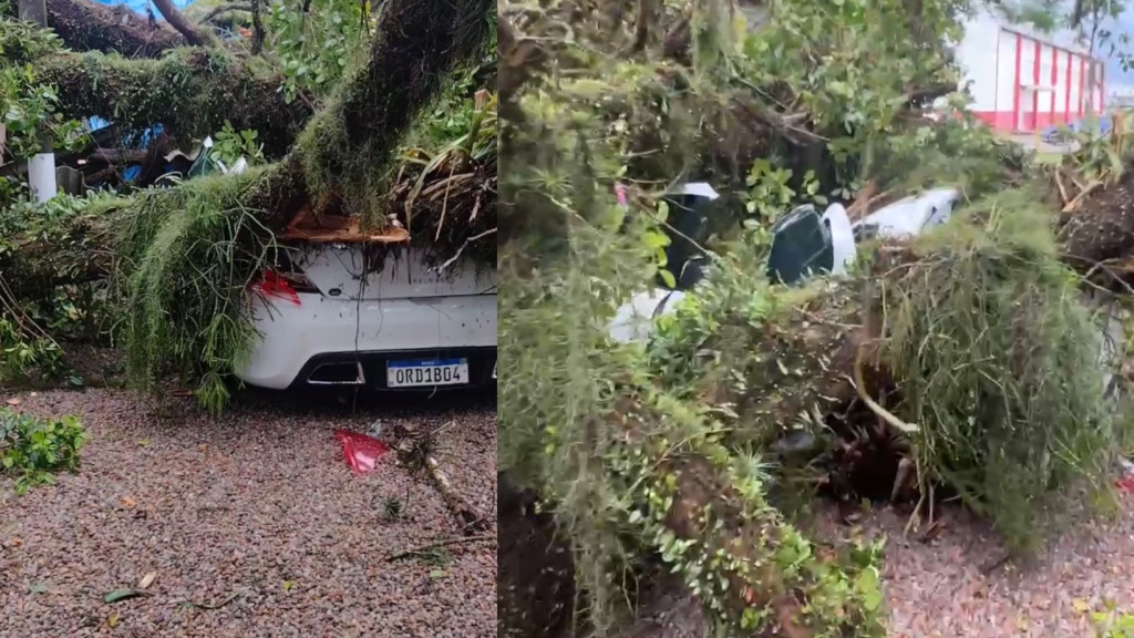 Carro é destruído e árvore atinge outros veículos após forte vendaval em Tijucas