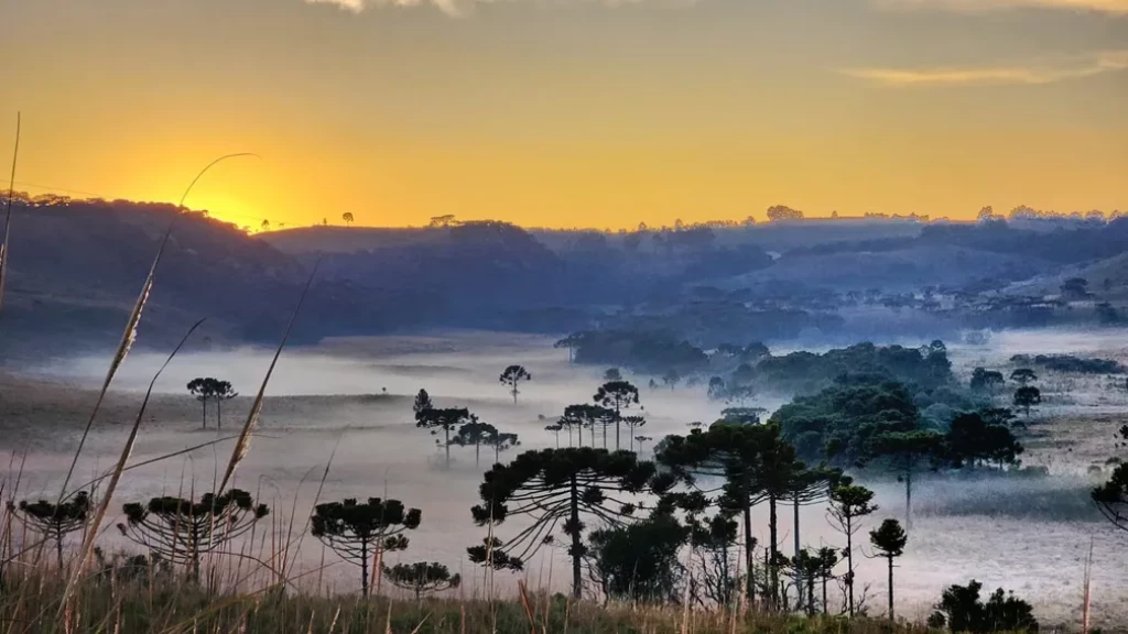 Cidade catarinense amanhece coberta por geada e paisagem encanta