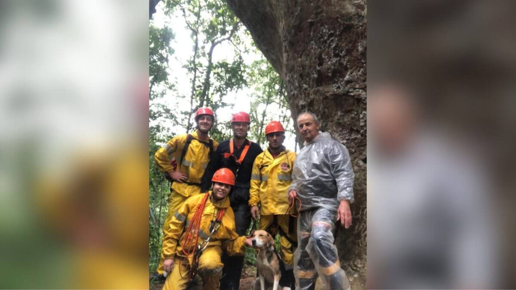 Cachorro sobrevive ao cair de paredão de 20 metros em SC