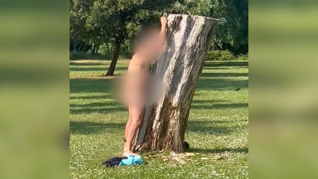Homem é preso após “fazer sexo” com árvore em parque