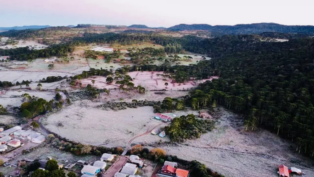Cidade catarinense amanhece com paisagem branquinha após geada