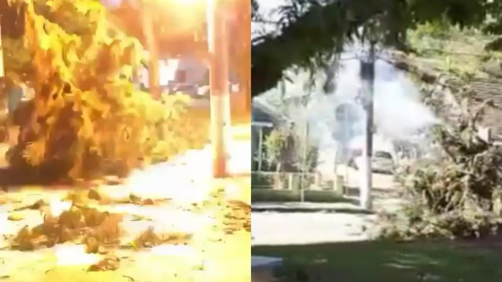 Árvore pega fogo após cair em gerador e assusta moradora de Blumenau