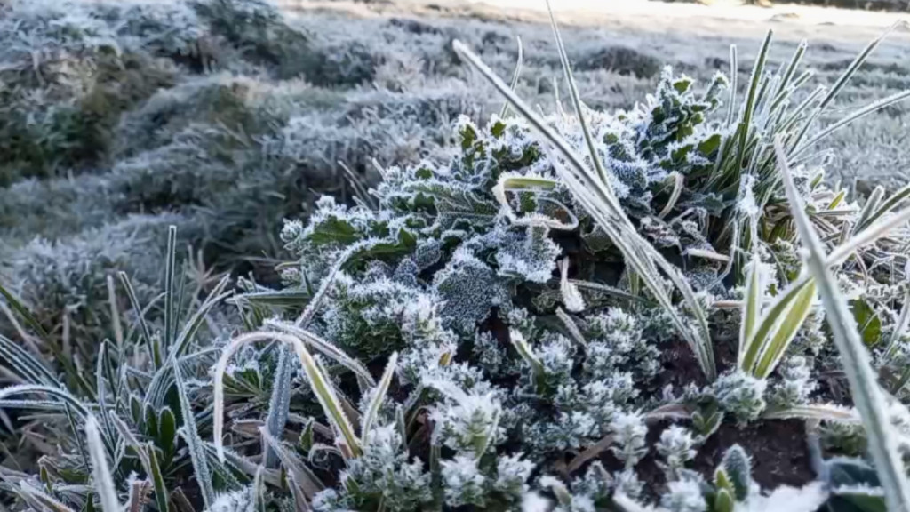 Frente fria derruba temperaturas em Santa Catarina