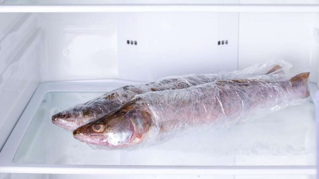 Peixe na geladeira quase termina em assassinato, em Porto Belo