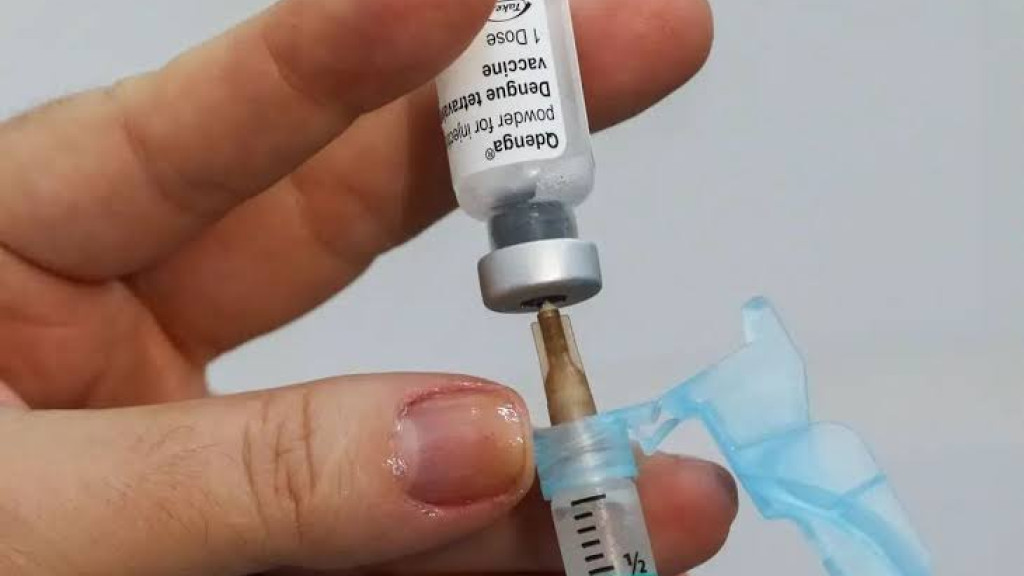 Com aumento de casos, Santa Catarina pede mais vacinas contra a dengue