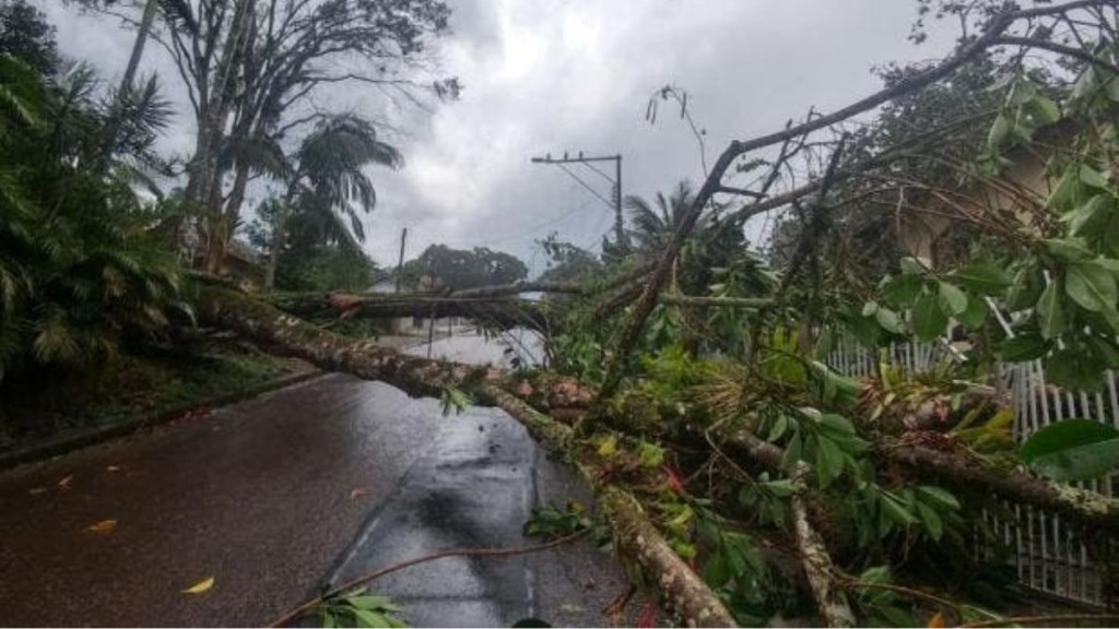 Alerta máximo: Ciclone extratropical ameaça Joinville com ventos de mais de 70 km/ h